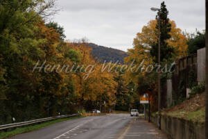 Herbstliche Landstrasse - ImageShop Online