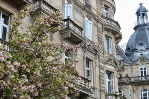Historische Fasaden in Strassburg - ImageShop