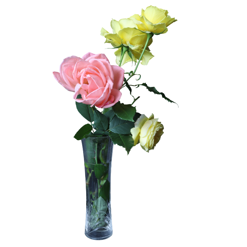 Gelbe und pinke Rosen