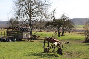 Klein Villip (10) – Landwirtschaftliches Werkzeug - ImageShop Online