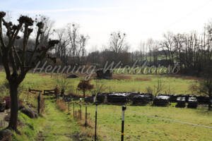 Klein Villip (6) – ist auf dem Land - ImageShop Online