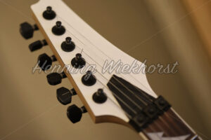 Kopf einer E-Gitarre - ImageShop