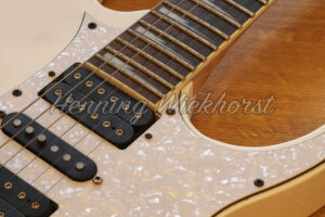 Korpus und Griffbrett einer E-Gitarre - ImageShop