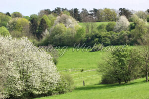 Landschaft eines alten Vulkans - ImageShop