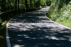 Licht und Schatten auf einer Waldstrasse - ImageShop