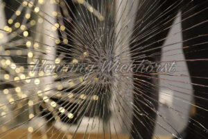 Loch im Schaufenster - ImageShop