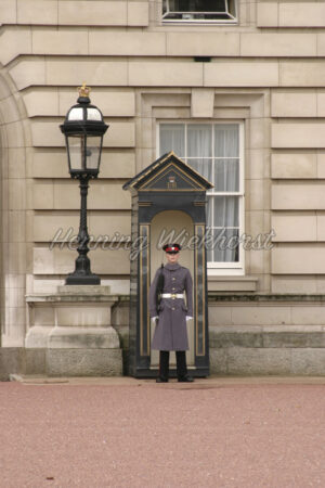 London (11) – Wache des Buckingham Palace - ImageShop