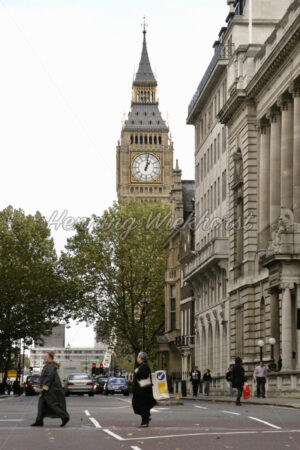London (15) – Big Ben hinter einem Baum - ImageShop