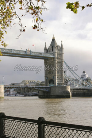 London (48) – Tower Bridge unter Baum - ImageShop