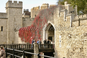London (55) – Eingang zum Tower of London - ImageShop