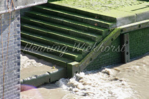 London (96) – Mit Moos überwachsene Treppe zur Themse - ImageShop