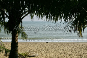 Meer und Strand und Palme - ImageShop