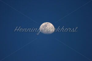 Mond am blauen Himmel - ImageShop