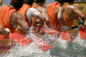 Nahaufnahme der Paddel beim Drachenboot-Rennen - ImageShop