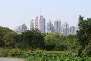 New Territories in Hong Kong - ImageShop Online