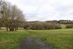 Niederbachem (17) – der Krater vom Rodderberg - ImageShop Online