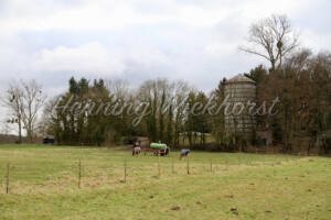 Niederbachem (19) – alter Bauernhof - ImageShop Online