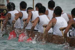 Paddelnde Drachboot-Mannschaft - ImageShop