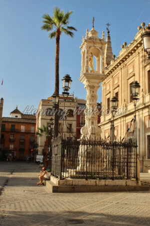 Palme am Palast in Sevilla - ImageShop