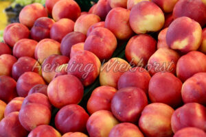 Pfirsiche auf dem Markt - ImageShop