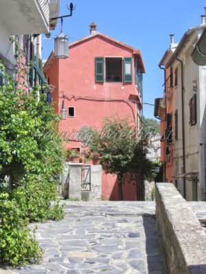 Rosa Haus - ImageShop