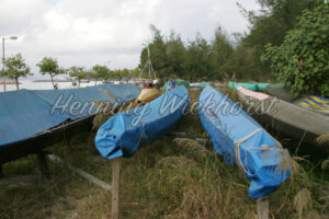 Ruhende Drachenboote (9) - ImageShop