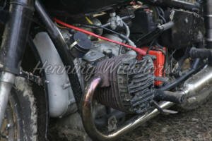 Russen-Boxer - ImageShop Online