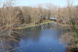 See im Bonner Rheinauen-Park - ImageShop Online