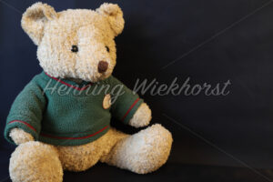 Sitzender Teddy - ImageShop