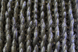 Stehende Schraubenspitzen - ImageShop