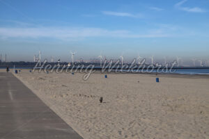 Strand von Hoek van Holland - ImageShop