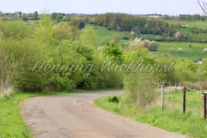 Strasse durch das Grüne - ImageShop