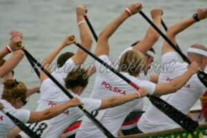 Synchron-paddeln in einem Drachenboot - ImageShop