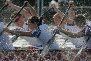 Team-Action im Drachenboot - ImageShop