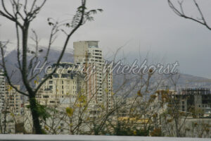 Teheran (22) – Stadt hinter kargen Bäumen - ImageShop