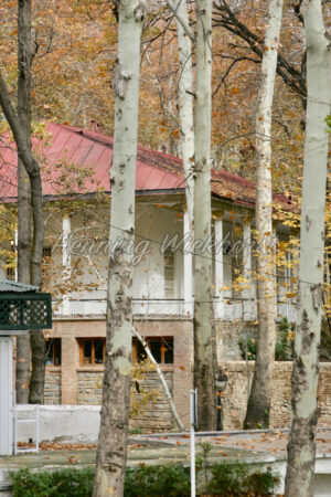 Teheran (9) – Auf dem Anwesen der Schah-Residenz - ImageShop