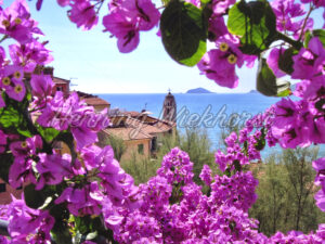 Telaro in Blumen gerahmt. - ImageShop