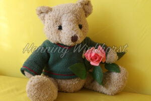 Valentine Teddy - ImageShop