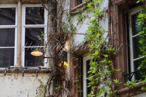 Verwunschene Fenster - ImageShop