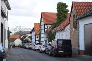 Villiprott (13) – Ein Teil der Dorfstraße - ImageShop Online