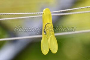 Wäscheklammer an der Leine - ImageShop Online