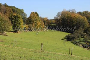 Wald und Weide - ImageShop Online