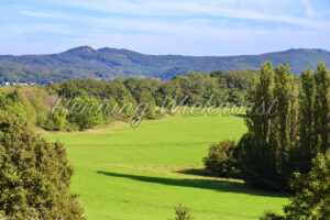 Wiese, Bäume, Berge - ImageShop