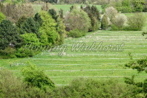 Wiese mit Zäunen - ImageShop
