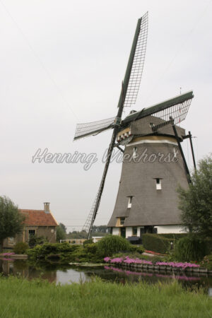 Windmühle in den Niederlanden - ImageShop