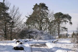 Winter am Rodderberg in Wachtberg - ImageShop Online