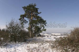 Winterlandschaft in Wachtberg / Niederbachem - ImageShop Online