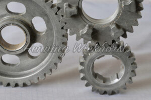 Zahnrad aus einem Getriebe - ImageShop