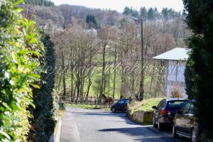 Züllighoven (8) – Der talseitige Ortsausgang - ImageShop Online