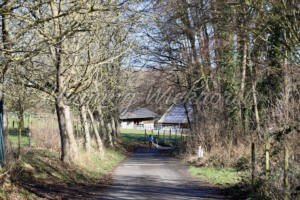 Züllighoven (9) – Der Kesselgraben - ImageShop Online